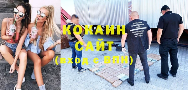 ПСИЛОЦИБИНОВЫЕ ГРИБЫ Алексин