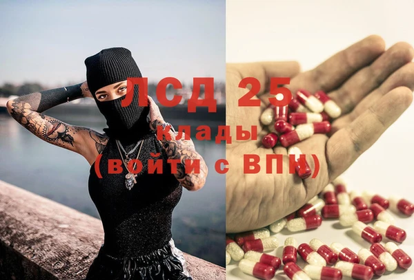 ГАЛЛЮЦИНОГЕННЫЕ ГРИБЫ Алексеевка